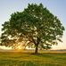 Ann Frates - Facebook