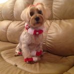 Ann Fratto - Facebook