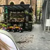 anndominic_frechette - @user_79795 - TikTok