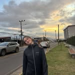 franky - @annfredlambert - Instagram
