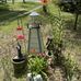 Ann Fredenburg - Facebook