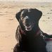 Ann Fredericks - Facebook