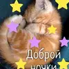 tteq_annfree - @tteq_annfree - TikTok