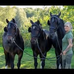 Ann-Christin Freese - @_stine_fahrteam_freese - Instagram