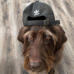 Anne Freiberger - Facebook