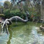 Ann Froman - @annfroman - Instagram