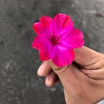 A N N - @ann_fuentes_c - Instagram
