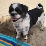 Martha Ann Fulks - @marthaannfulks6265 - Instagram
