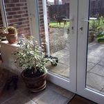 Ann Fulton - @ann.fulton.33 - Instagram