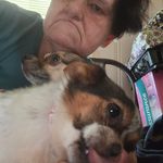 Ann Fulton - @annfulton190 - Instagram
