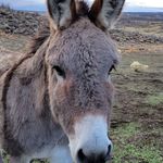 Ann Fultz - @fultz5484 - Instagram