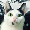 BrittanyAnnFurber - @brittanyannfurber - TikTok