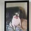 Ann Fyfe - @ann.fyfe0 - TikTok