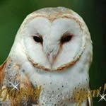 Ann Fyfe - @19arf39 - Instagram