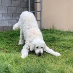 Ann - @ann_fyffe - Instagram