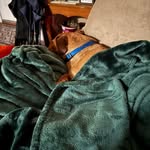 Ann Garrison - @anngarrison780 - Instagram