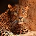 Ann Geer - Facebook