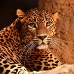 Ann Geer - @ann.geer.716 - Instagram