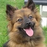 ann geerinckx - @anngeerinckx - Instagram