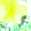 Jane Ann Geer - @pinkyjane420 - TikTok