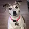 Ann Gibbons921 - @anngibbons921 - TikTok