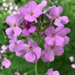 Ann Gibbons - @gibbons_a62 - Instagram