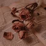 ANN - @ann_gill_977 - Instagram