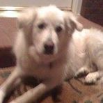Ann Gipson - Facebook