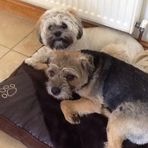 Ann Gladstone - Facebook