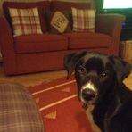 Anne Gladstone - Facebook