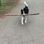Anne Gladstone - @anneg1262 - Instagram