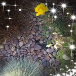 Mary Ann Gladstone - @happyroq92 - Instagram