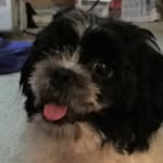 Ann Schnaper Goldfarb - @ann_g_innz - Instagram