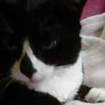 Patty Ann Gregoire Gilbeau - @lovingmoments84 - Instagram