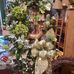 Ann Gregory - Facebook