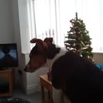 ann Gregory - @anngregory174 - Instagram