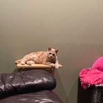 Ann Guffey Veneziano - @annv1618 - Instagram