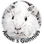Annie - @annies_guinnies - Instagram