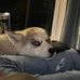 Ann Guthrie - Facebook