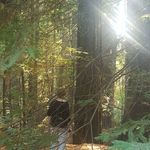 Ann Gwinn - @agwinn45 - Instagram