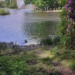Anne Haake - Facebook