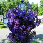 Ruth Ann Hackman Kulp - @ruthann.kulp - Instagram