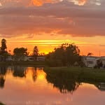 Sue Ann Hackman Fluegemann - @hackmanfluegemann - Instagram