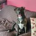 Martha-Ann Hagedorn - Facebook