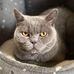 Anne Halstead - Facebook