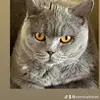annehalstead - @annehalstead - TikTok