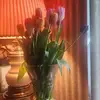 Sheri Ann Halstead - @sheri.ann.halstea - TikTok