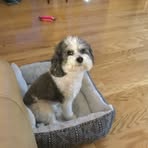 Ann Hankins - Facebook