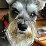 Ann Hankins - @anninwinlock - Instagram
