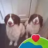 Anne Harden - @anne.harden - TikTok